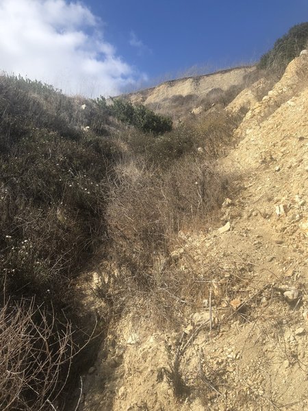 Looking back up from the unmaintained road. There are a lot of overgrowth of thorny bushes and loose dirt.