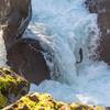 Jumping salmon at the Salmon Cascades