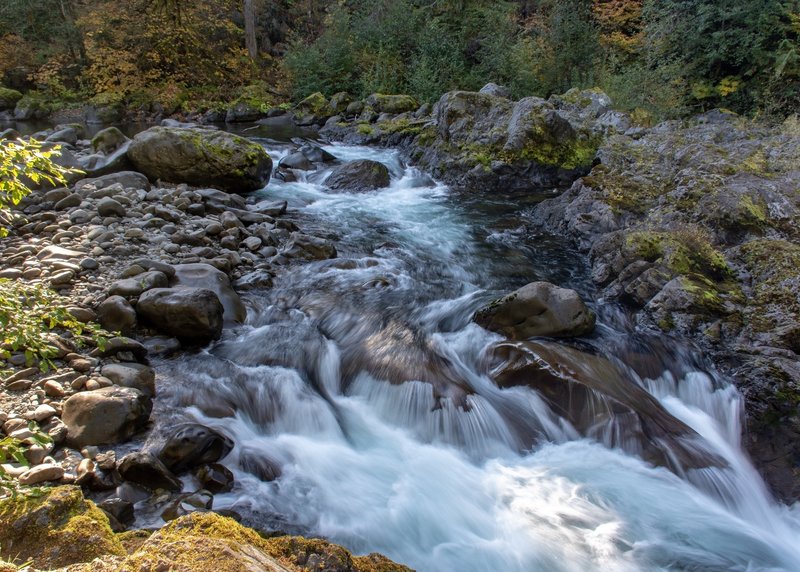 Salmon Cascades