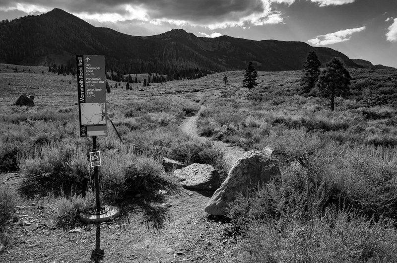 The lower trailhead of the Mammoth Rock Trail off Sherwin Creek Road.