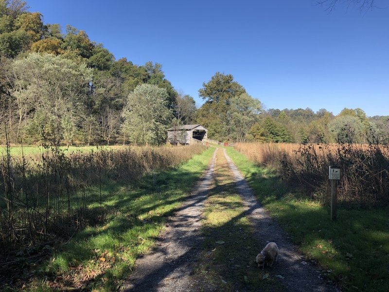 Covered bridge in Laurel's Preserve.