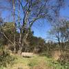 One of many benches along the trail