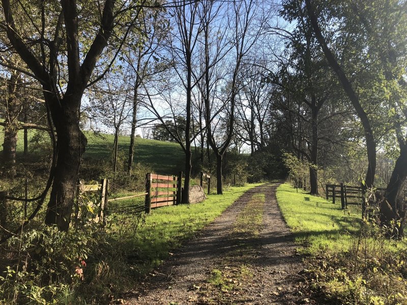 Crushed grave trail