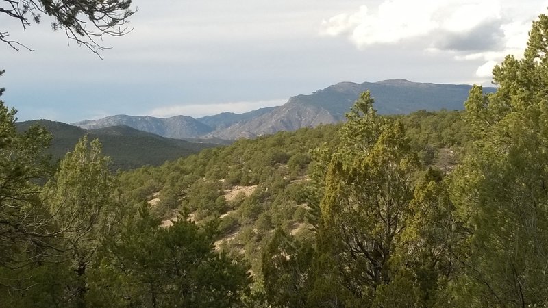 A view from Gnasty Trail