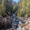 Looking back up the creek from the falls.