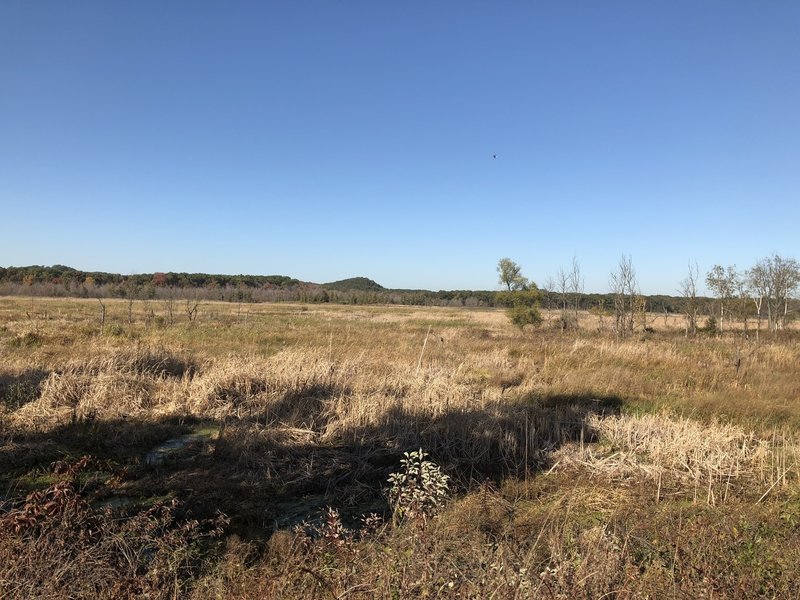 Dunes hike Cowles Bog Trail