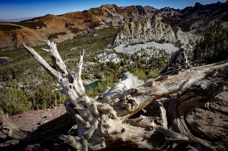 Crystal Crag viewed from the Mammoth Crest Trail.