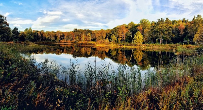 Coventry Pond in the golden light just prior to the sun setting.