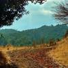 Deep in the Santa Cruz Mountains, Knibbs Knob Trail rounds one of several switchbacks as it climbs the ridge separating the Swanson Creek and Uvas Creek valleys.