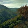 The Swanson Creek Valley deep in the rugged Santa Cruz Mountains, drops off below Knibbs Knob Trail.