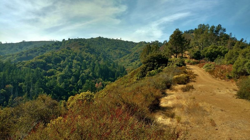 In the Santa Cruz Mountains, the Swanson Creek Valley is to the left (south) of the high ridge that Knibbs Knob Trail traverses. Not shown, but to the right (north) of this ridge, is the Uvas Creek Valley.