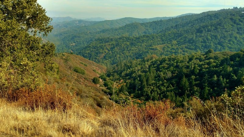 Santa Cruz Mountains, looking south from high on Knibbs Knob Trail.