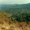 Santa Cruz Mountains, looking south from high on Knibbs Knob Trail.