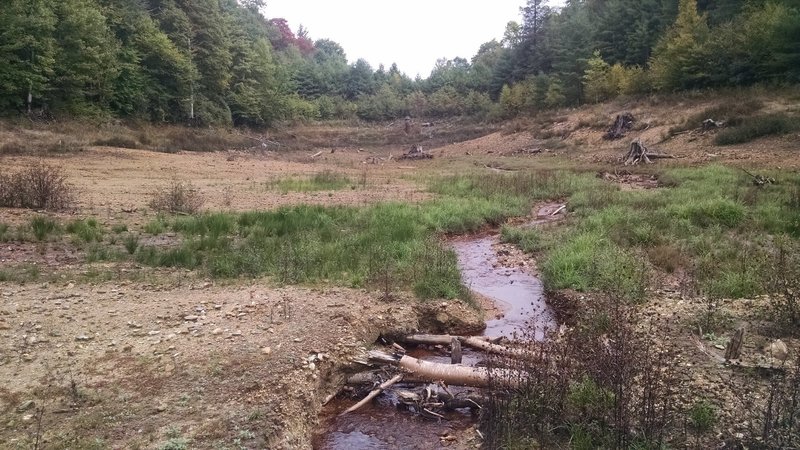 Birchfield Camp Lake