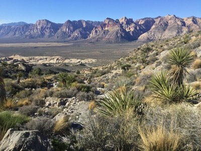 On trail to Turtlehead Mountain.
