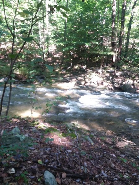 Fording the first stream after coming down from Bob's Hill going south.