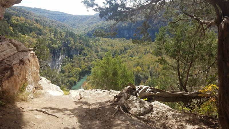 Transition to narrow section of the Big Bluff Trail.