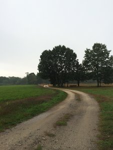 to the Community Gardens