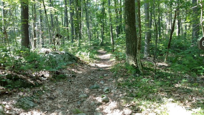 Entrance to trail.
