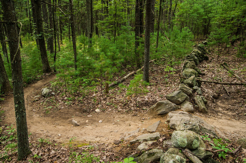 No New England trail would be complete without a stone wall crossing. This is a fairly easy one on Upper Owl.