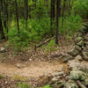 No New England trail would be complete without a stone wall crossing. This is a fairly easy one on Upper Owl.