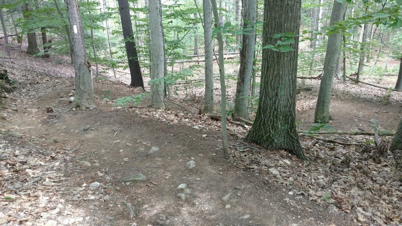 Heartbreak Ridge starts with a steep winding climb, shown here.