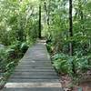 Lots of these bridges on the Tophet Swamp trails.