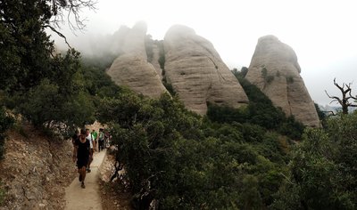 View from the trail.
