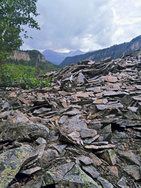 View of peaks, probably Centennial and Hesperus.