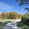 Fall colors along the Lost Reservoir State Trailway.