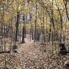 Lovely Fall Colors, and an amazing change in scenery from the pines along the shoreline!