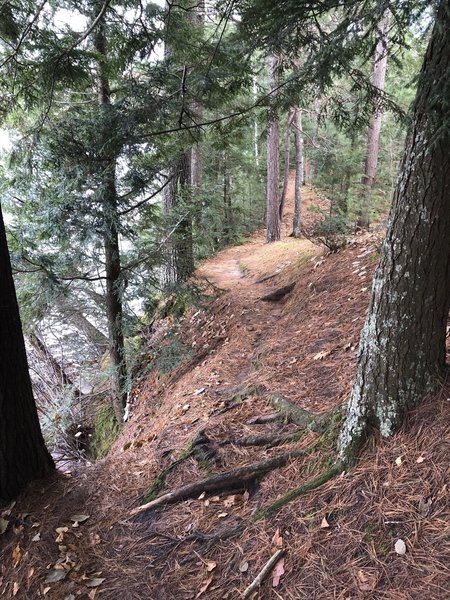 Shoreline Trail - sometimes above the lake, and other times right at the waterline.