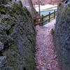 On the Ha Ha Tonka Spring Trail, where it passes through fractured limestone with the spring creek in the background.  About: 37.973762, -92.767618