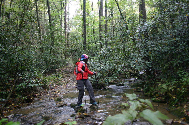 Mid-creek pause in Bear Creek to enjoy the cascade