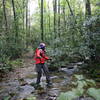 Mid-creek pause in Bear Creek to enjoy the cascade