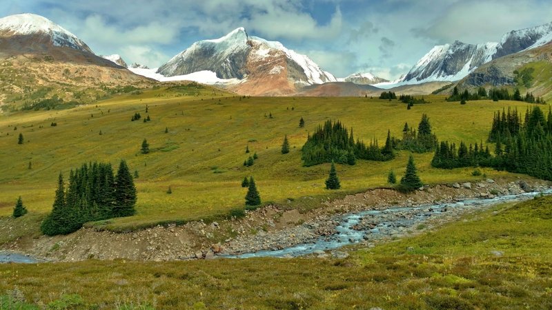 At Moose Pass along the Great Divide Trail (GDT). The Great Divide Trail Association (GDTA) of Calgary, Alberta maintains, promotes, and preserves the GDT.