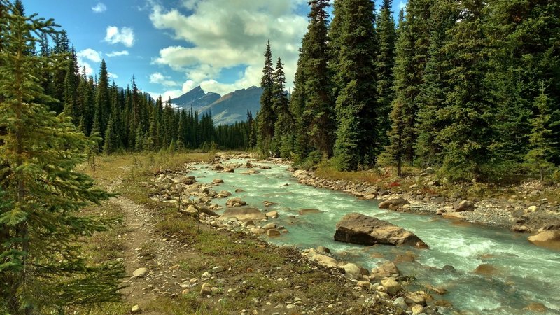 Along the Great Divide Trail (GDT) at Calumet Creek, one of hundreds of creeks along the GDT. The Great Divide Trail Association (GDTA) of Calgary, Alberta maintains, promotes, and preserves the GDT.