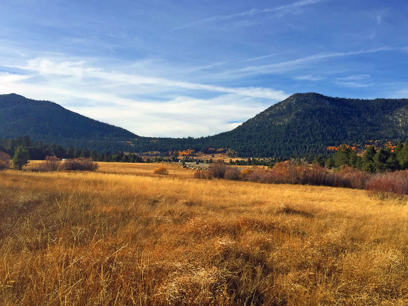 Last leg - through the meadow back to the parking area - and still the beauty.