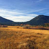 Last leg - through the meadow back to the parking area - and still the beauty.