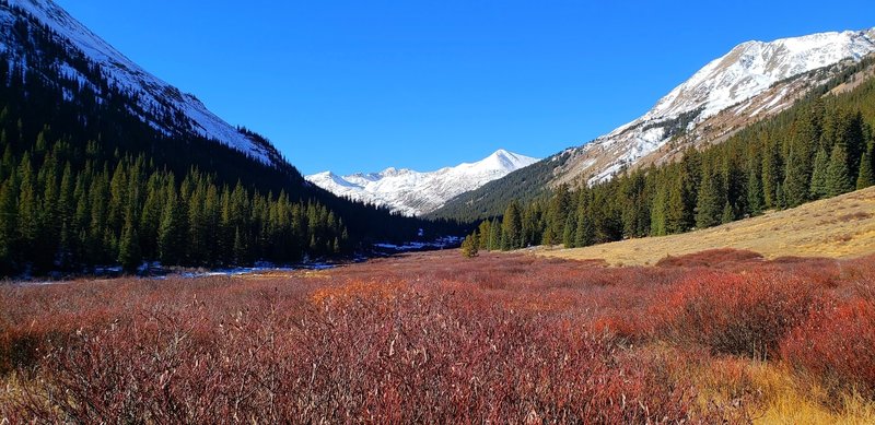 Snow capped Jenkins Mountain and Grizzly Peak in the distance