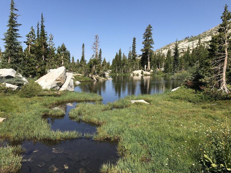 Upper Meadow area about .5 miles from the first twin lake.