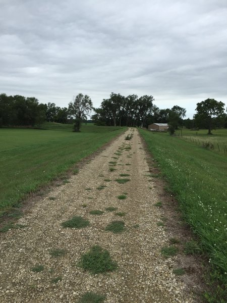 The levee trail is all a fine to small rock surface.