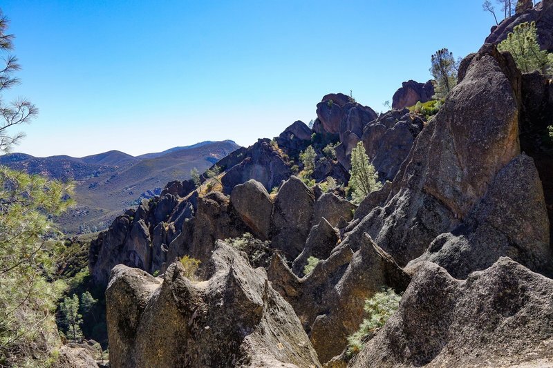 A view from the high peaks trail.