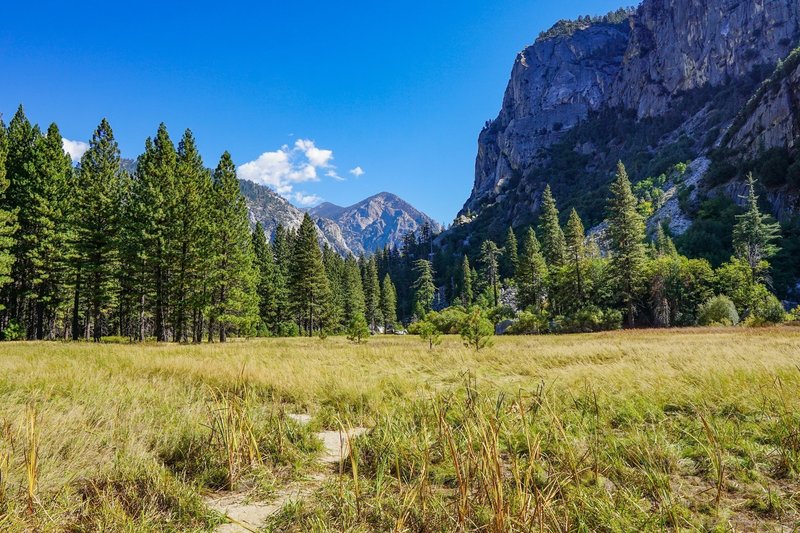 A beautiful view from Zumwalt Meadow.