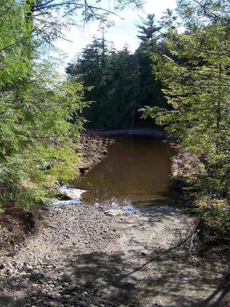 Where Crane Pond Road Crosses Alder Pond