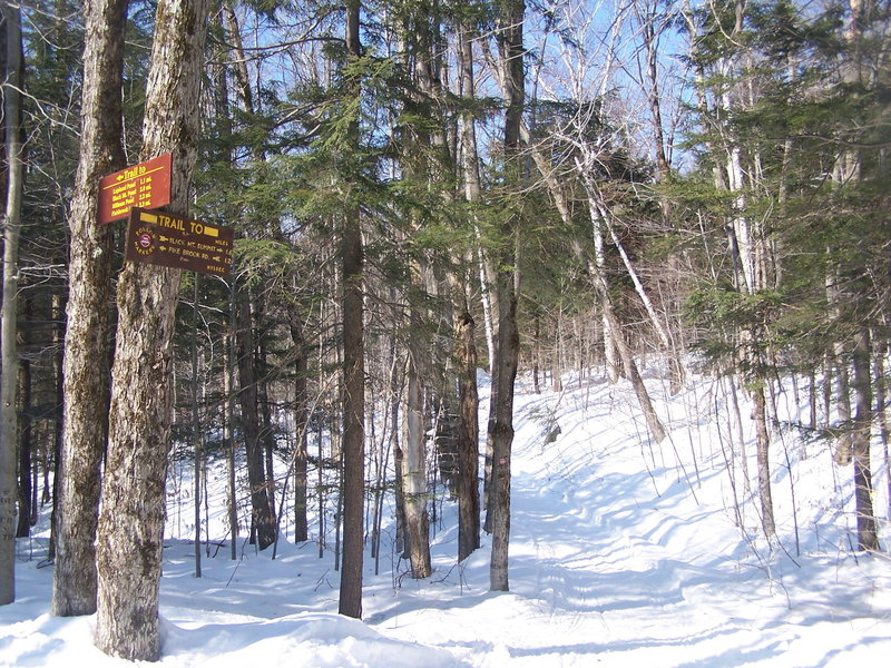 Trail intersection in the winter.