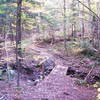 Bridge in fall.