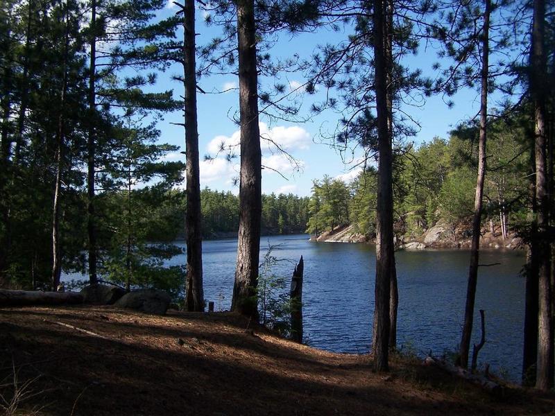 Oxbow through the trees.