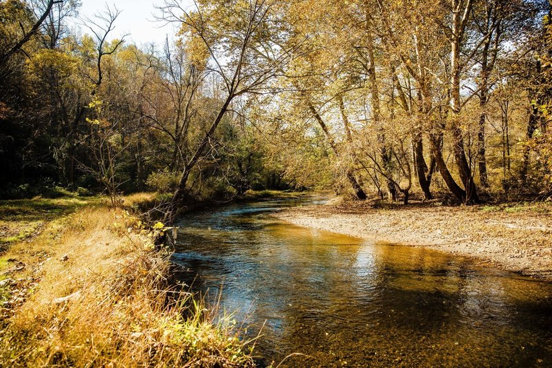 Buck Run River.