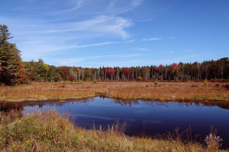 Duck Pond from the Dam